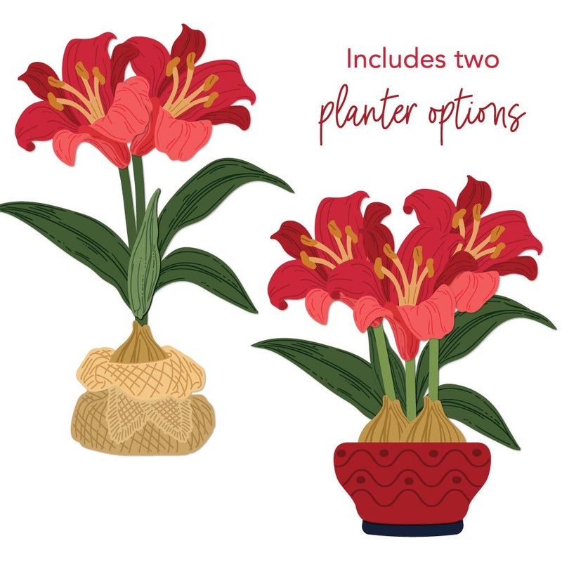 Lovely Layers: Amaryllis – Honey Cuts
