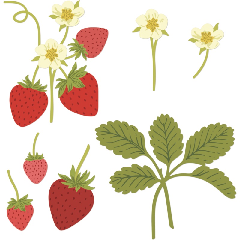 Lovely Layers: Strawberries – Honey Cuts