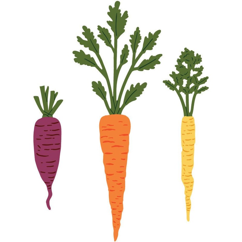 Lovely Layers: Carrots – Honey Cuts