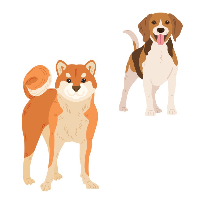 Lovely Layers: Medium Dogs – Honey Cuts