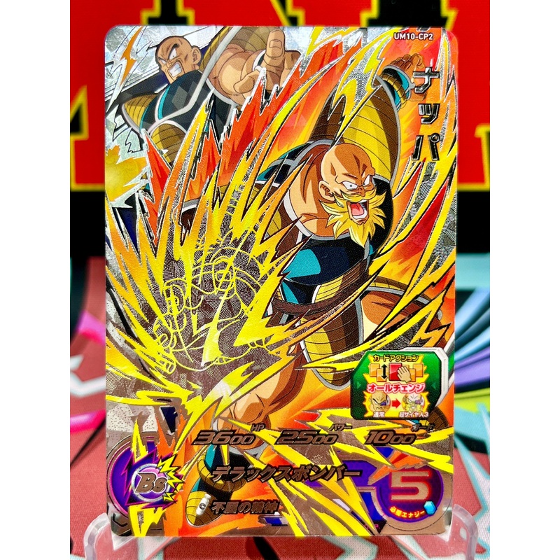 UM10-CP2 Nappa CP (2019)