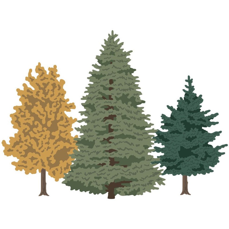 Lovely Layers: Trees – Honey Cuts