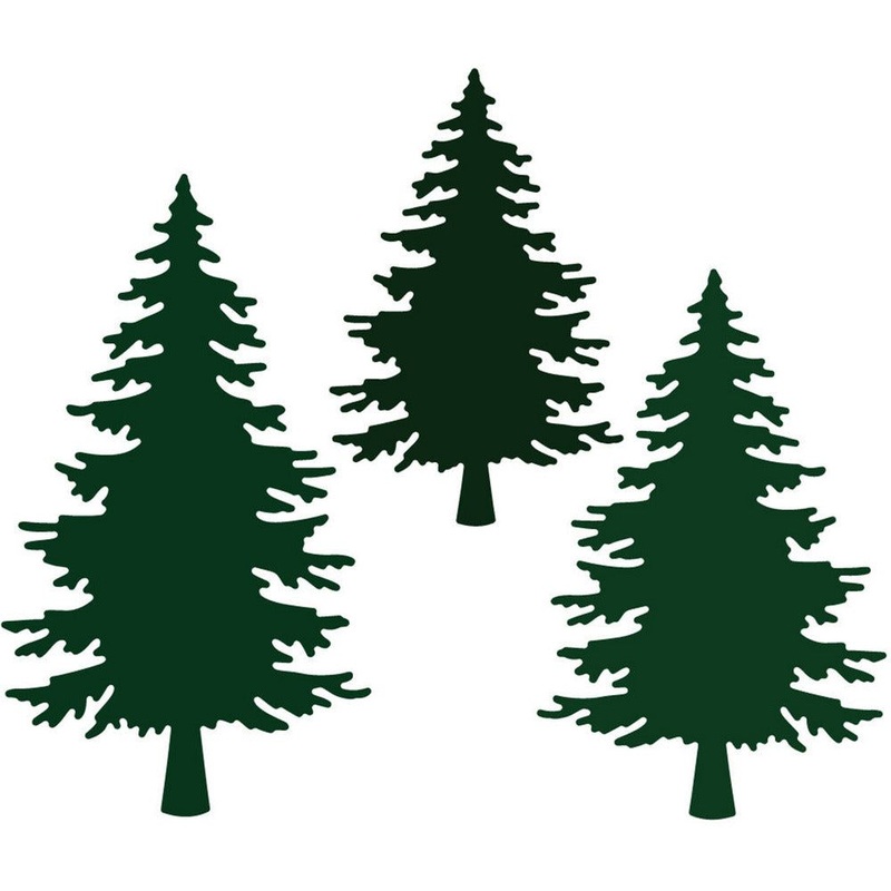 Pine Trees – Honey Cuts