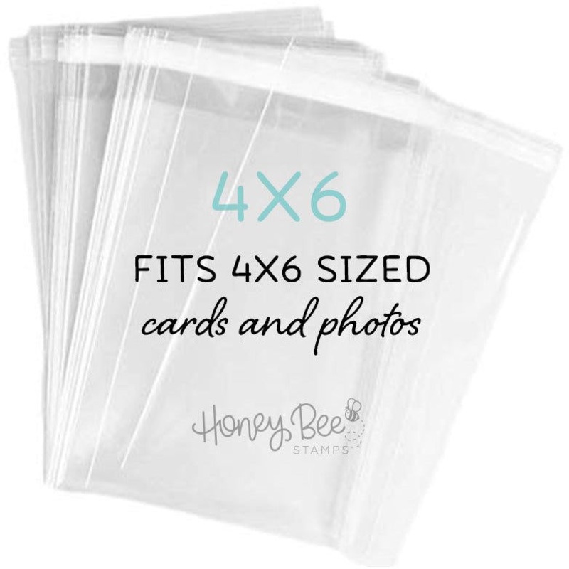 Crystal Clear Cello Bags 100 Pk – 4×6