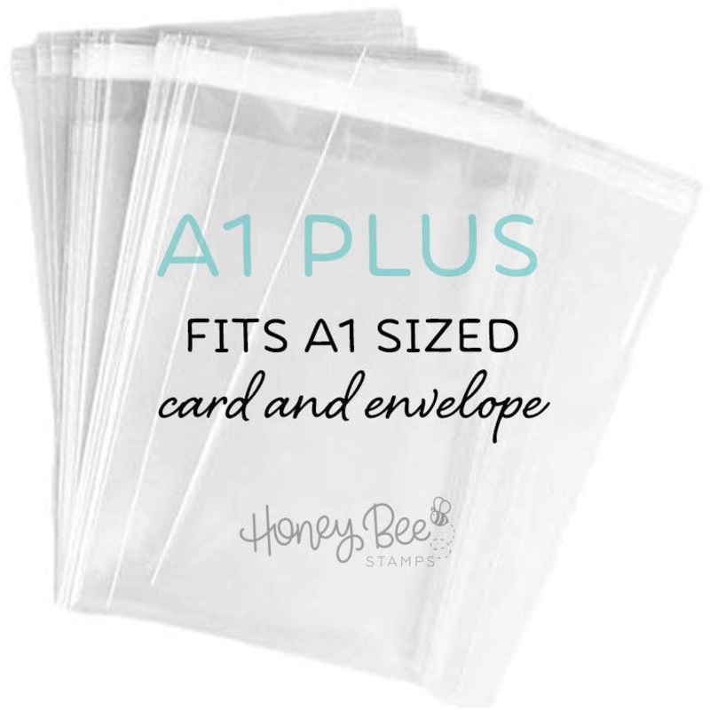 Crystal Clear Cello Bags 100 Pk – A1+