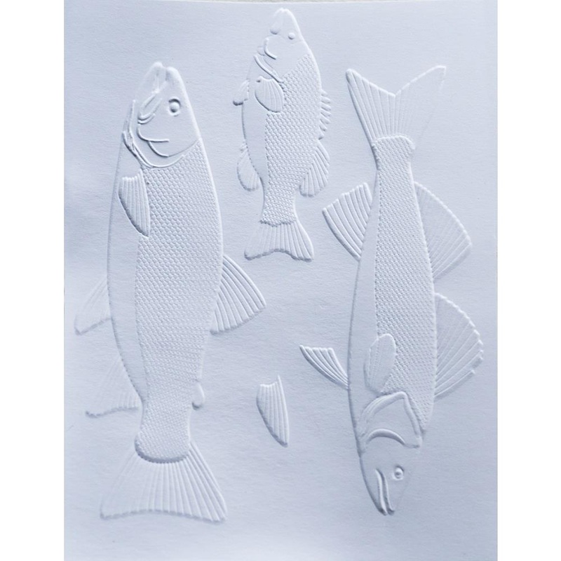 Memory Box 3D Embossing Folder & Dies Freshwater Fish