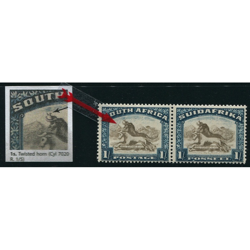 1932 ROTO 1/- BROWN & PRUSSIAN BLUE INVERTED WATERMARK TWISTED HORN – MNH – SACC 49av