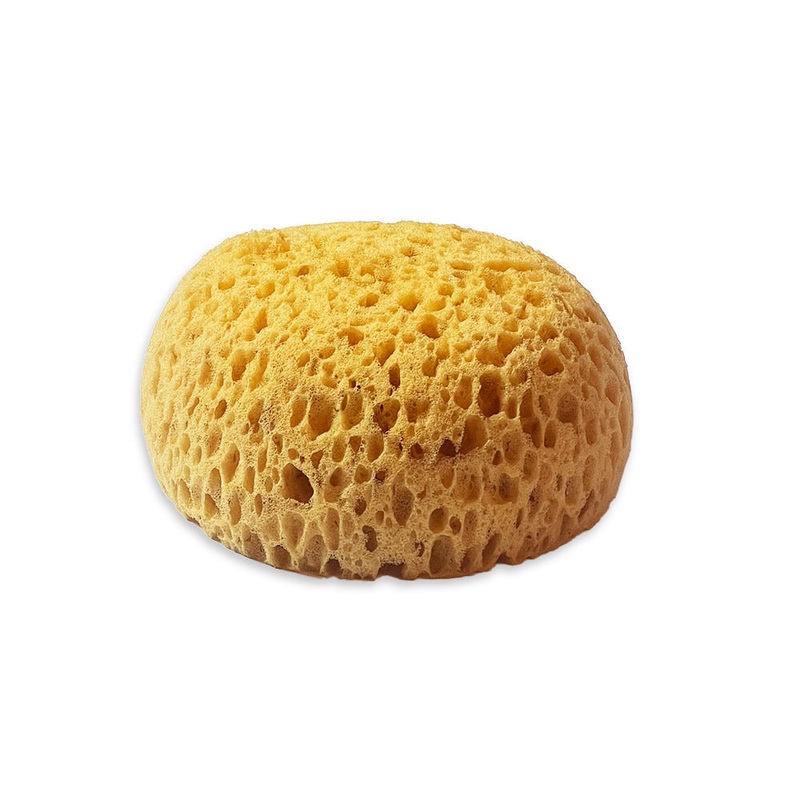 Stamperia Art Stories Sponge