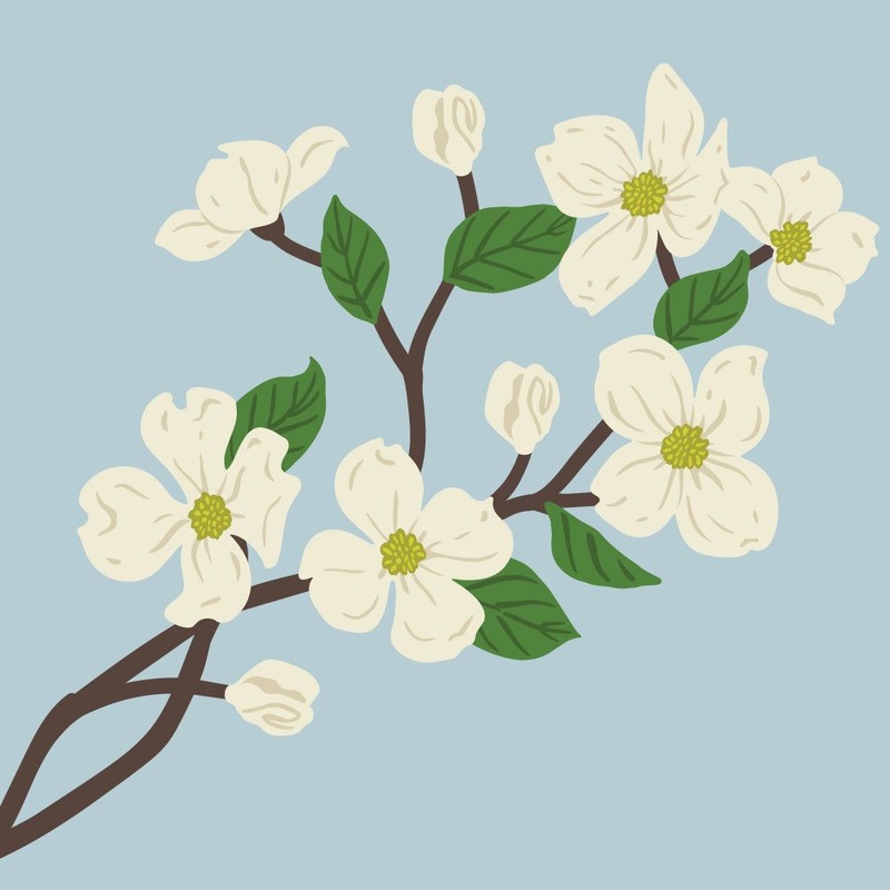 Lovely Layers: Dogwood – Honey Cuts