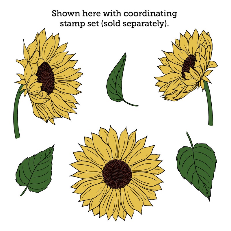Bloom With Grace – 6×6 Coordinating Stencil