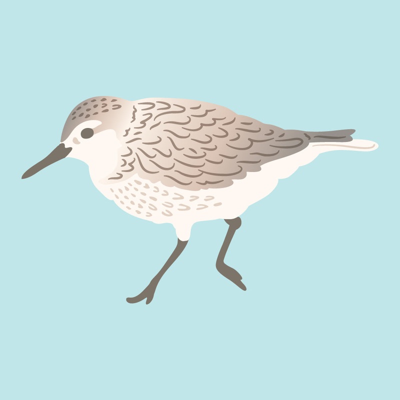 Lovely Layers: Sandpiper – Honey Cut