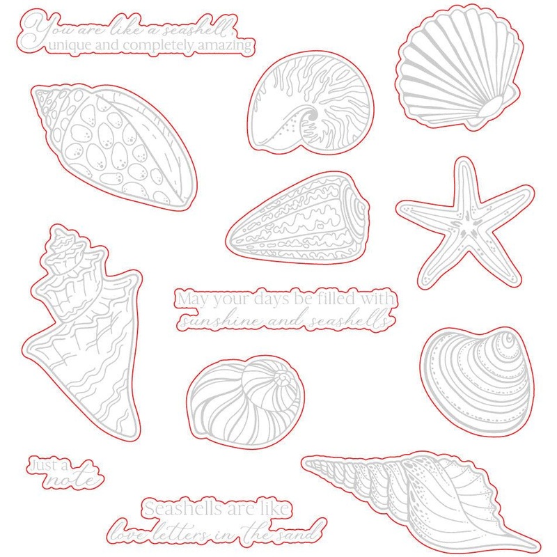 Seashells – Honey Cuts