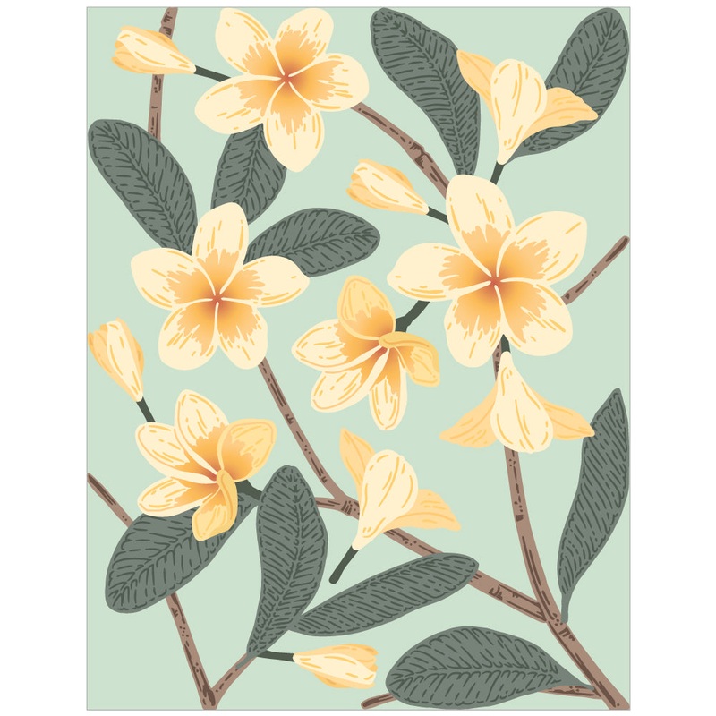 Bold Background: Plumeria – Honey Cut