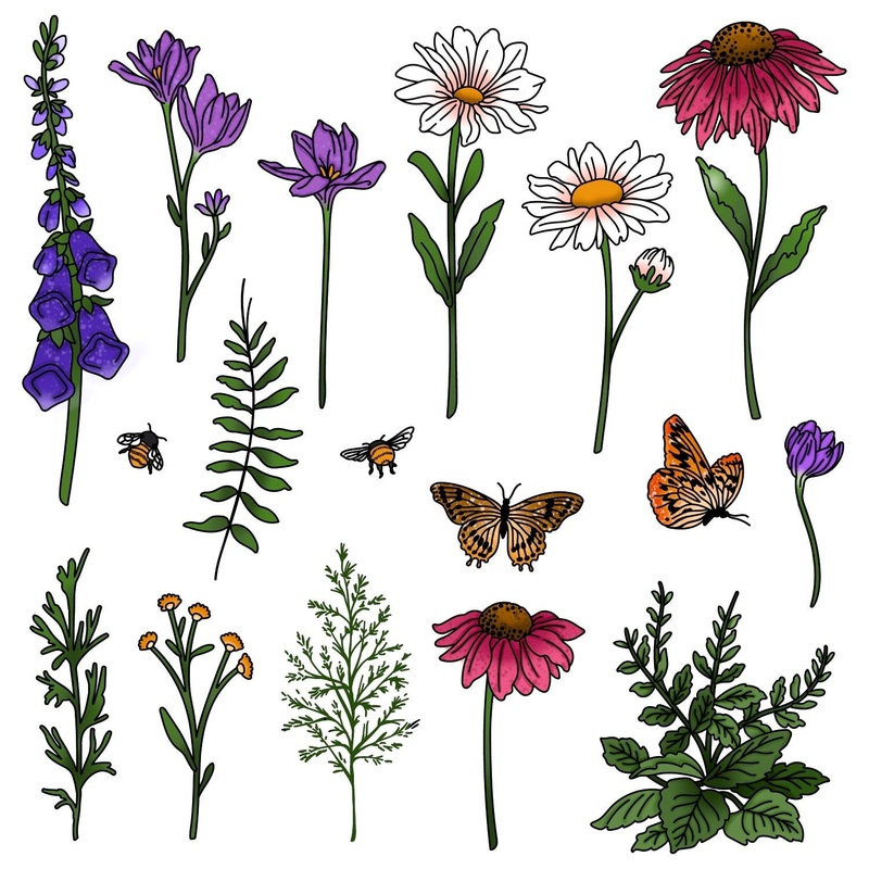 Wildflowers – 6×8 Stamp Set – Retiring