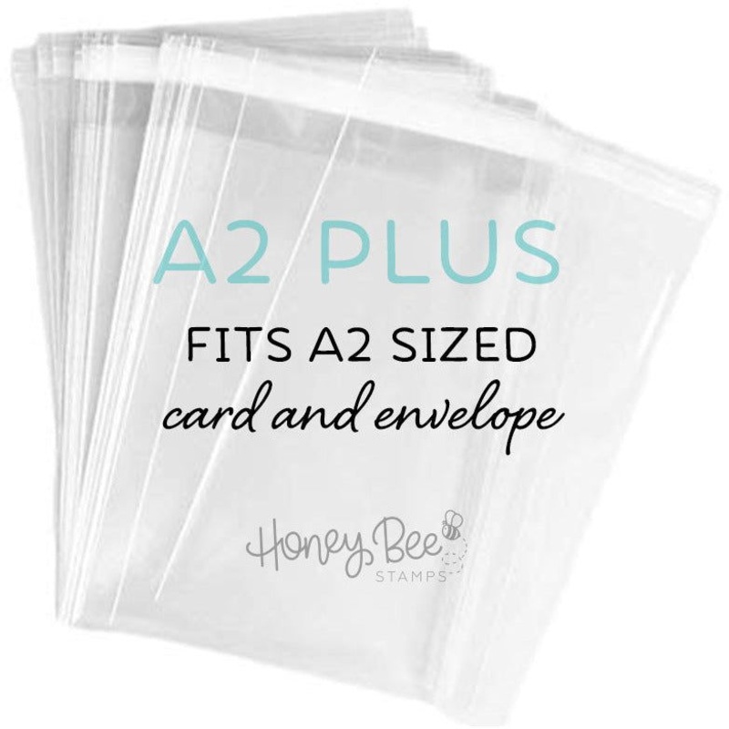 Crystal Clear Cello Bags 100 Pk – A2+