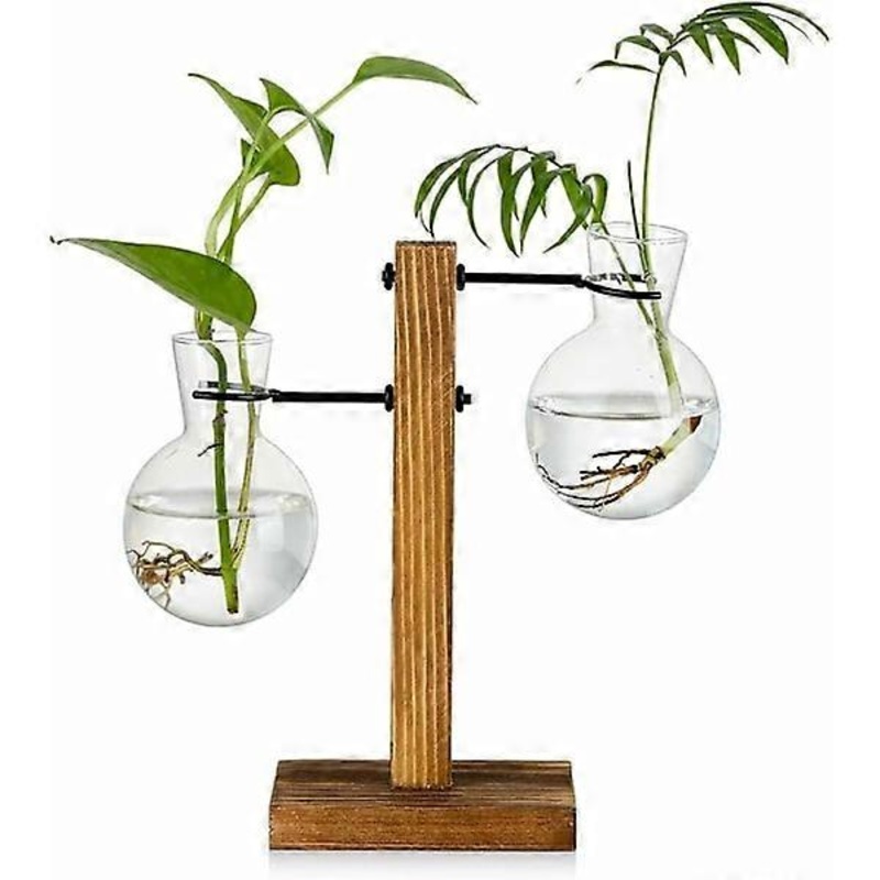Propagation Station with Wooden Stand, 2 Bulbs, Vintage