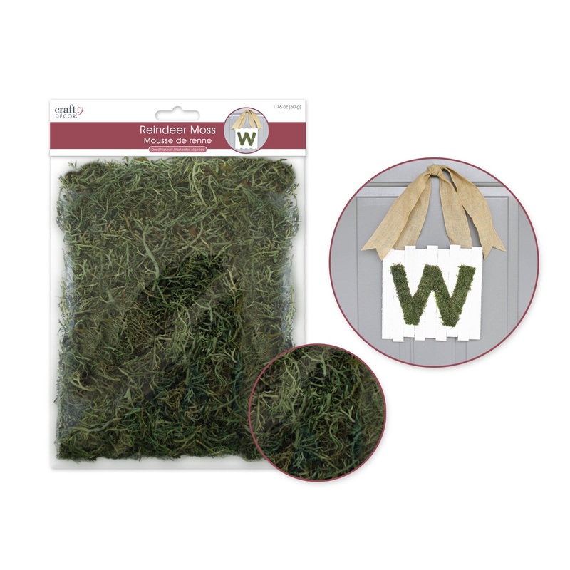 Mutlticrafts – Craft Decor Dried Naturals: 50g Reindeer Moss Green