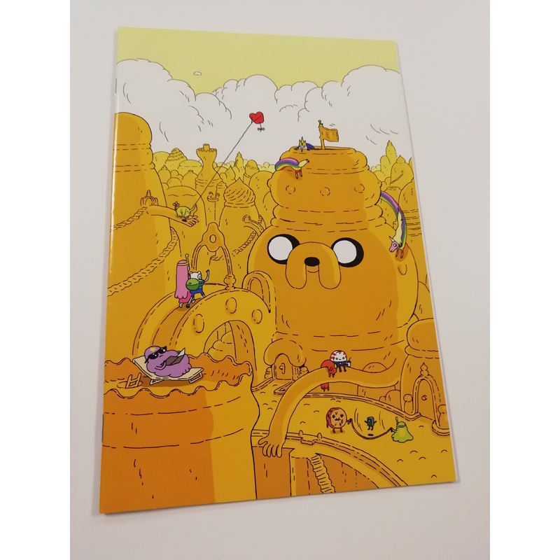 Adventure Time #6 NM- 1/20 Steve Wolfhard Variant (cover D)