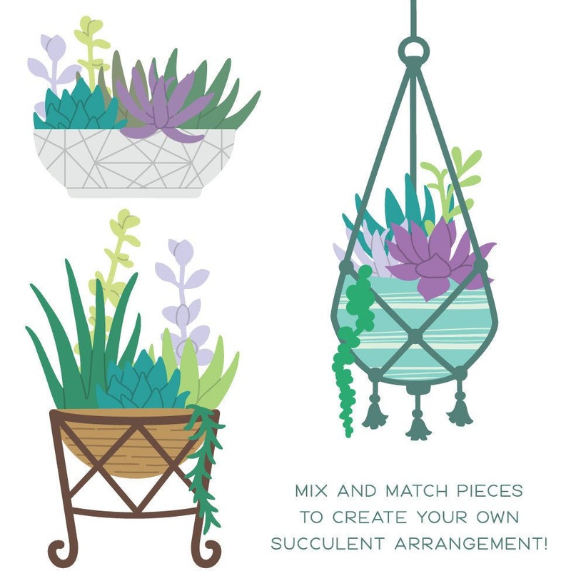 Succulent Garden Builder – Honey Cuts