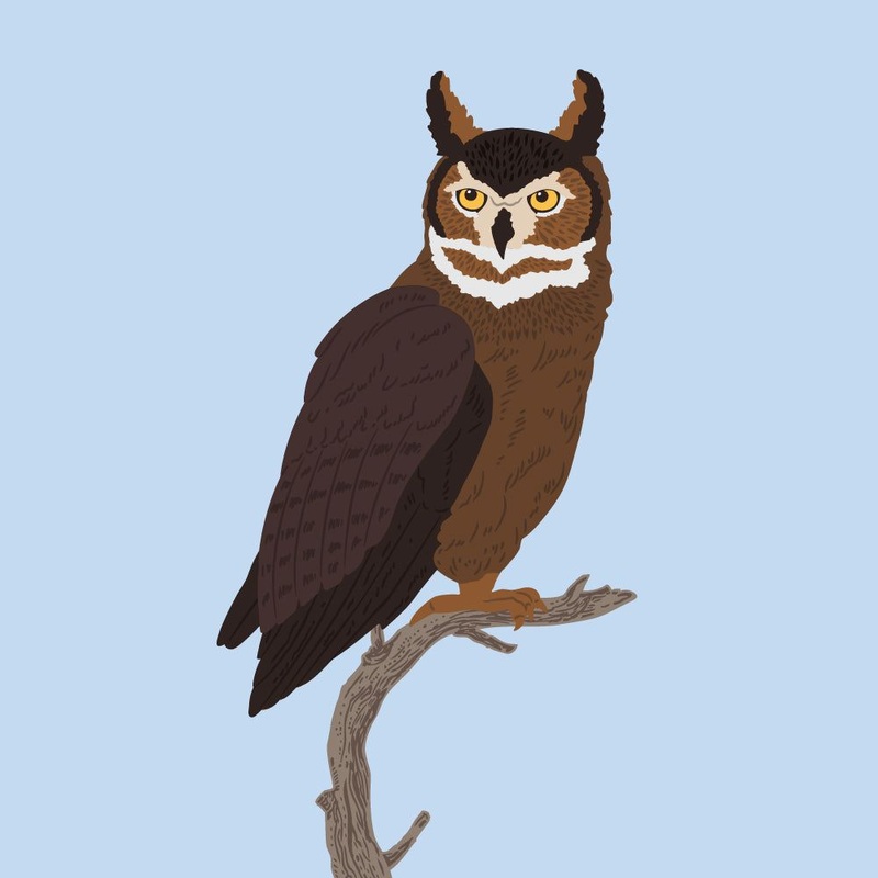 Lovely Layers: Owl – Honey Cuts