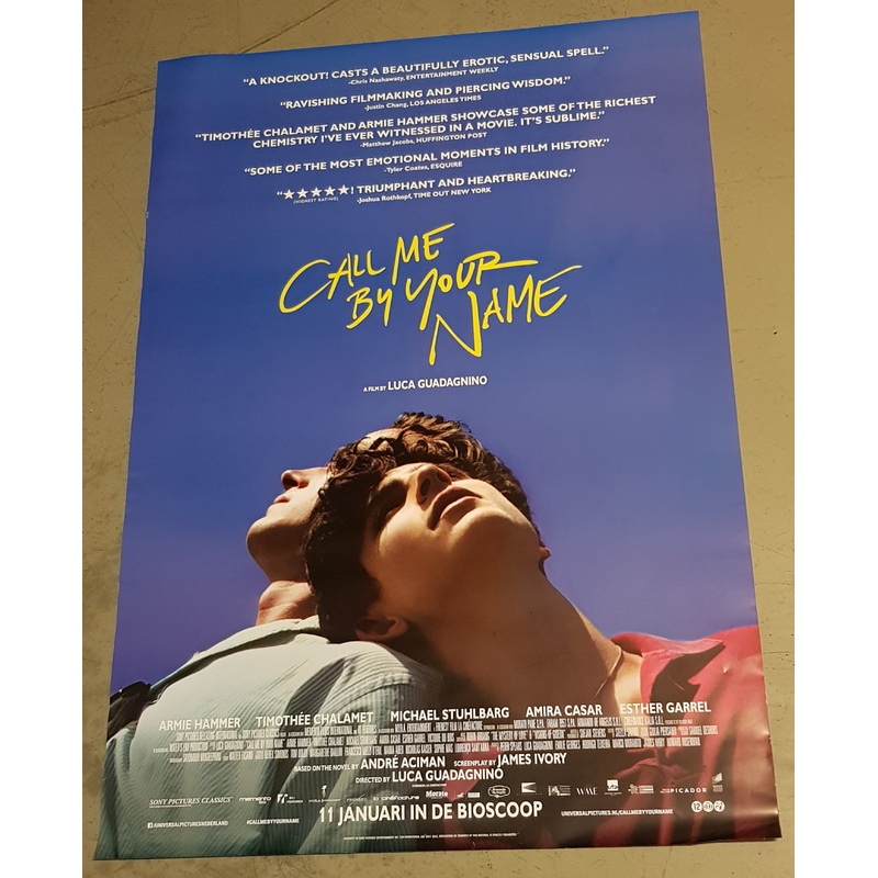 Call Me by Your Name Original 27×39 Dutch Movie Poster (2017)