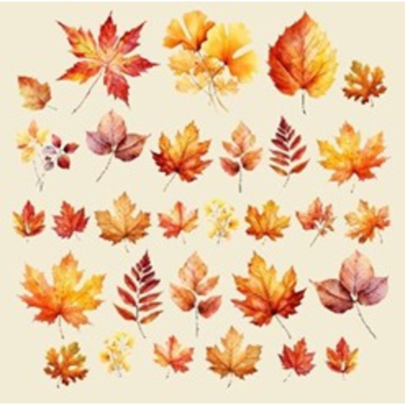 Simply Stated – Autumn Splendor Leaves Ephemera