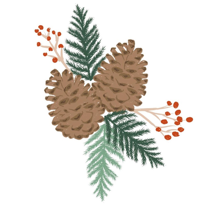 Sizzix Layered Clear Stamps By Lisa Jones Pine Branches