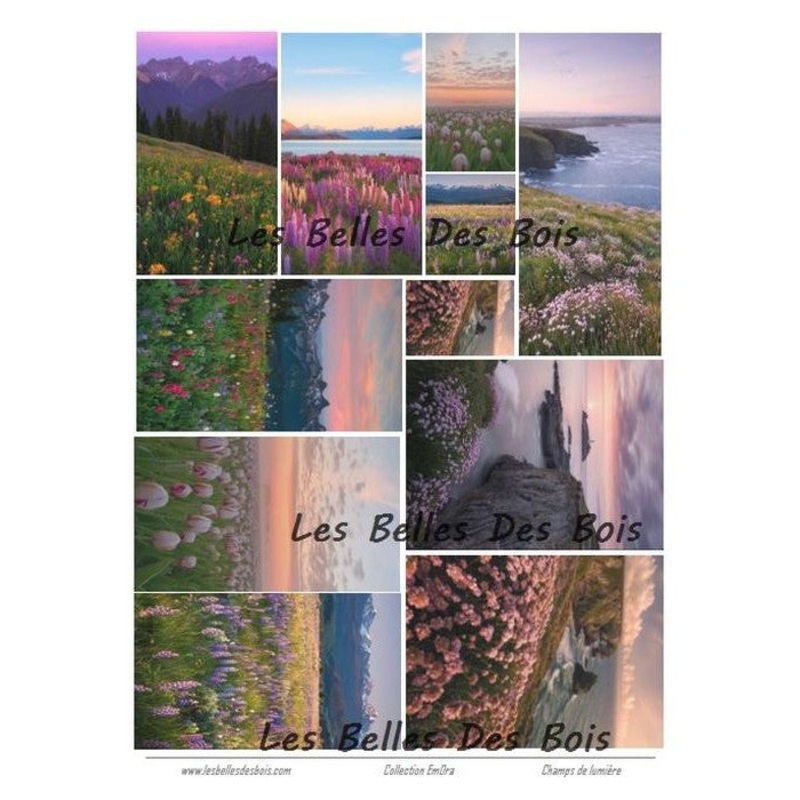 Les belles des bois – Card topper – Champs De Lumire