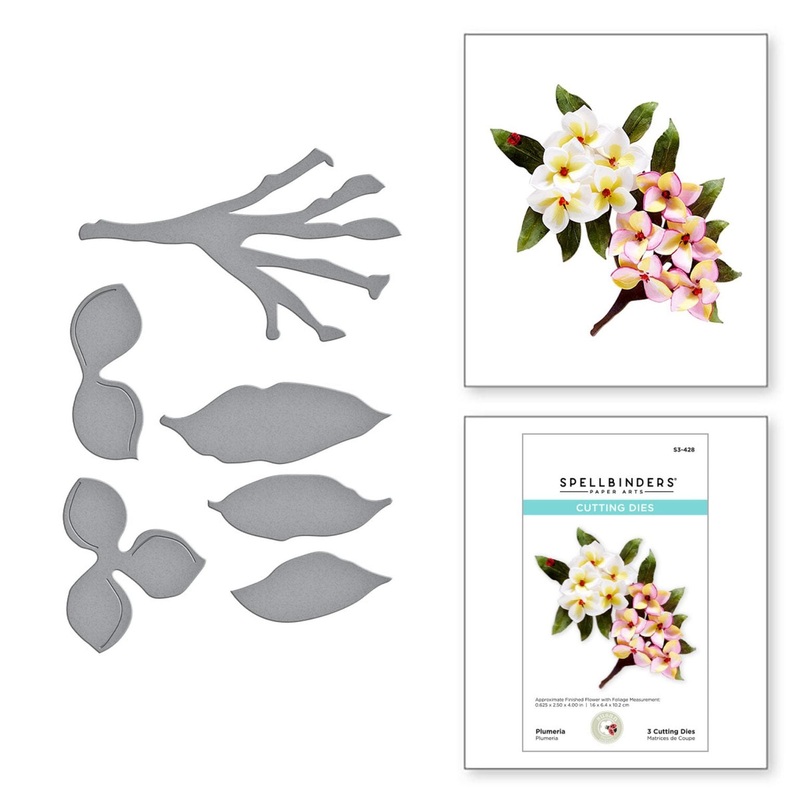 Spellbinders Plumeria Etched Dies from Susans Tropical Getaway Collection by Susan Tierney-Cockburn