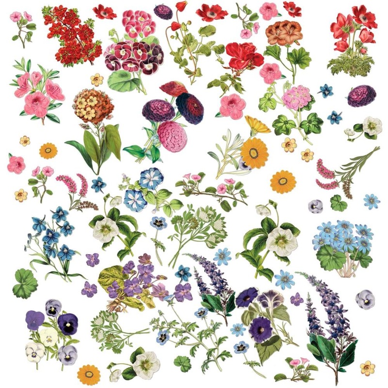 49 and Market Spectrum Gardenia Laser Cut Outs Floral