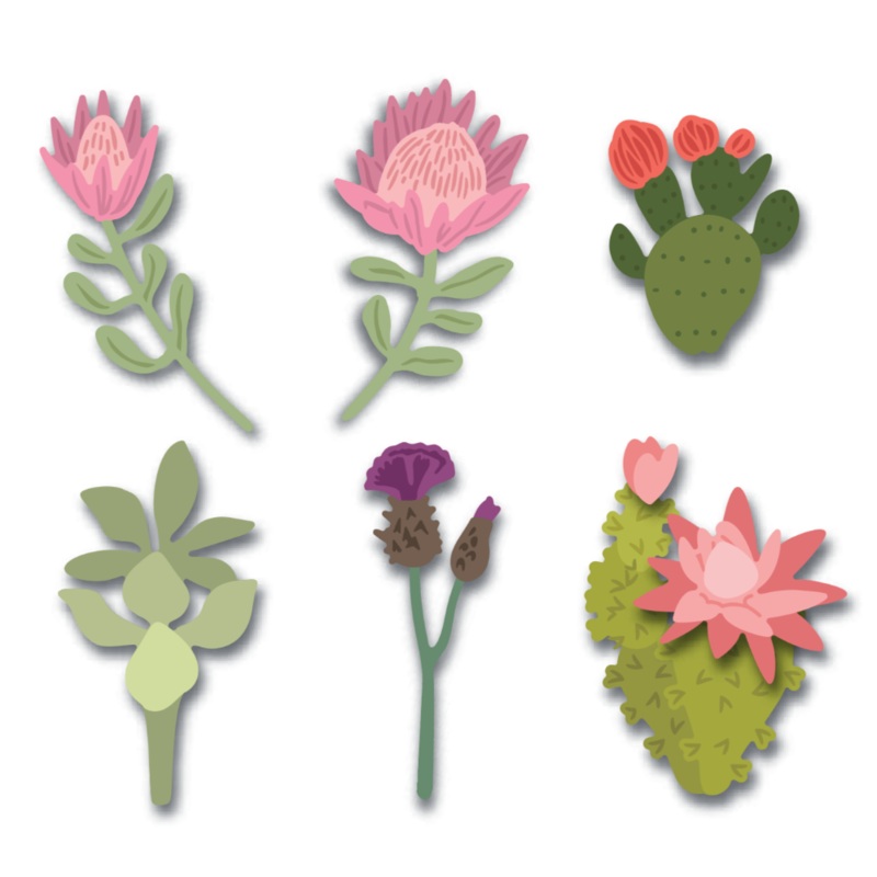 Lovely Layers: Mini Desert Blooms – Honey Cuts