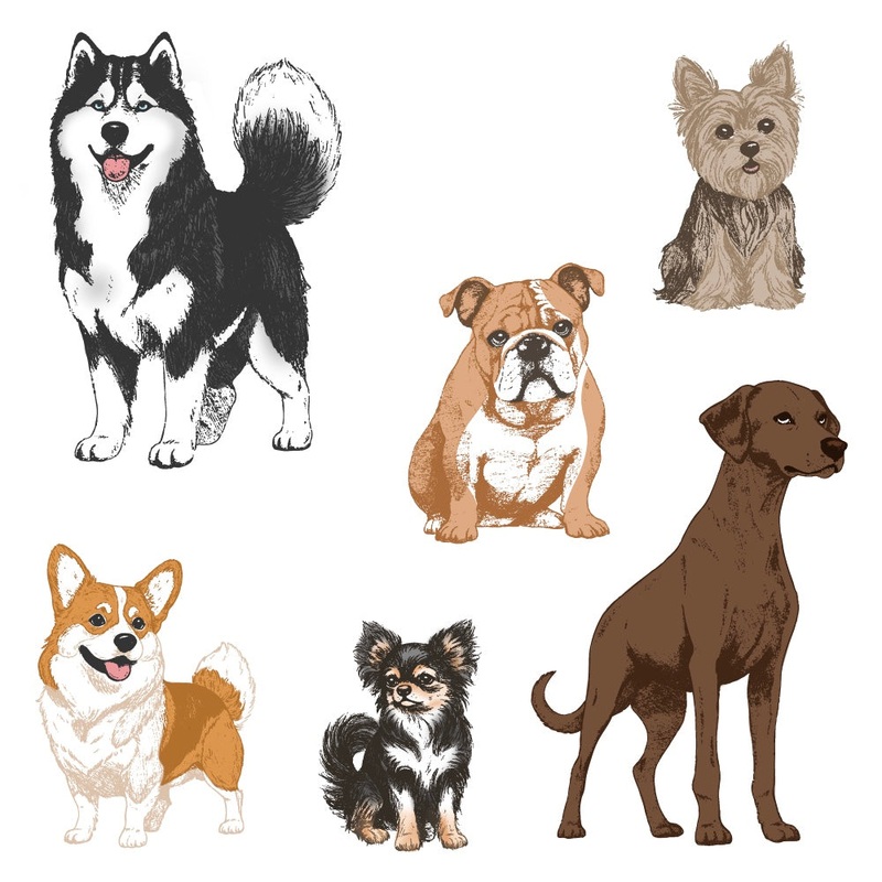 Tail Waggers – 5×6 Rubber Cling Stamp