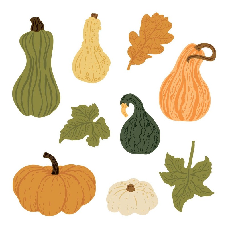 Lovely Layers: Fall Bounty – Honey Cuts
