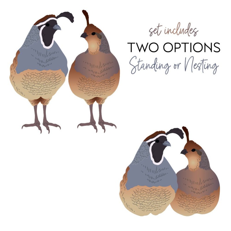 Lovely Layers: Quail – Honey Cuts