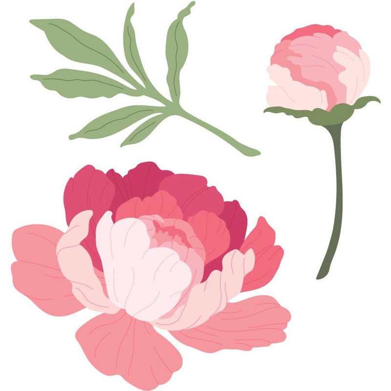 Lovely Layers: Peony – Honey Cuts