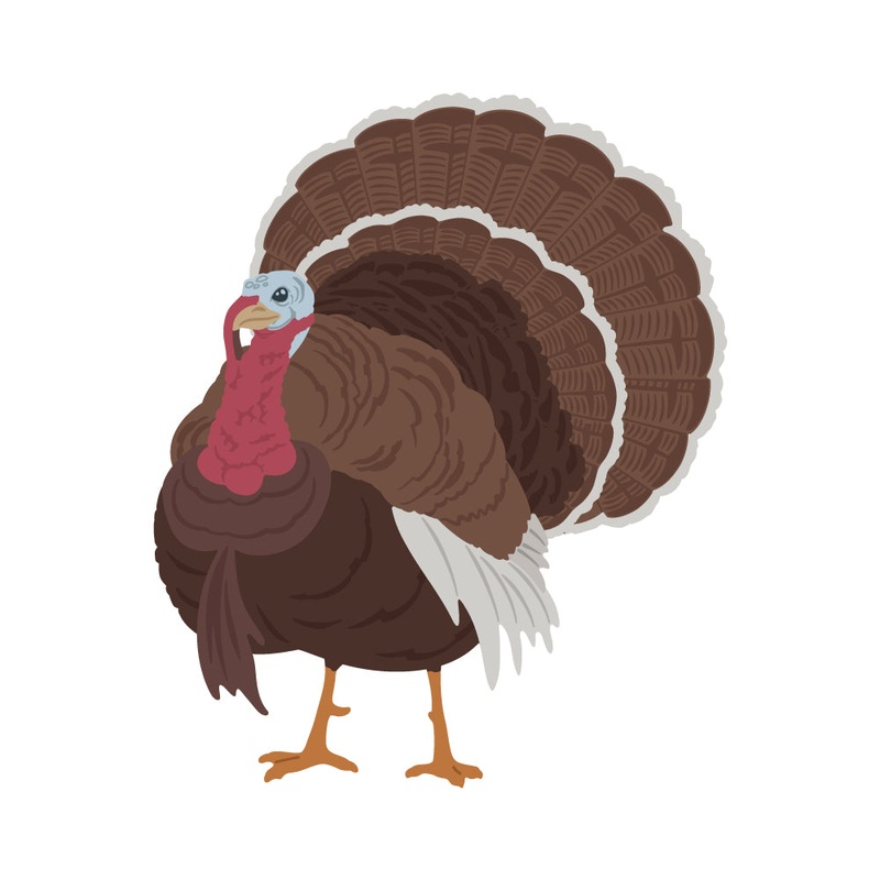 Lovely Layers: Turkey – Honey Cuts