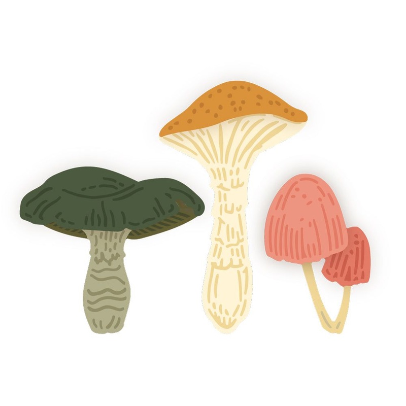 Lovely Layers: Mushroom – Honey Cuts