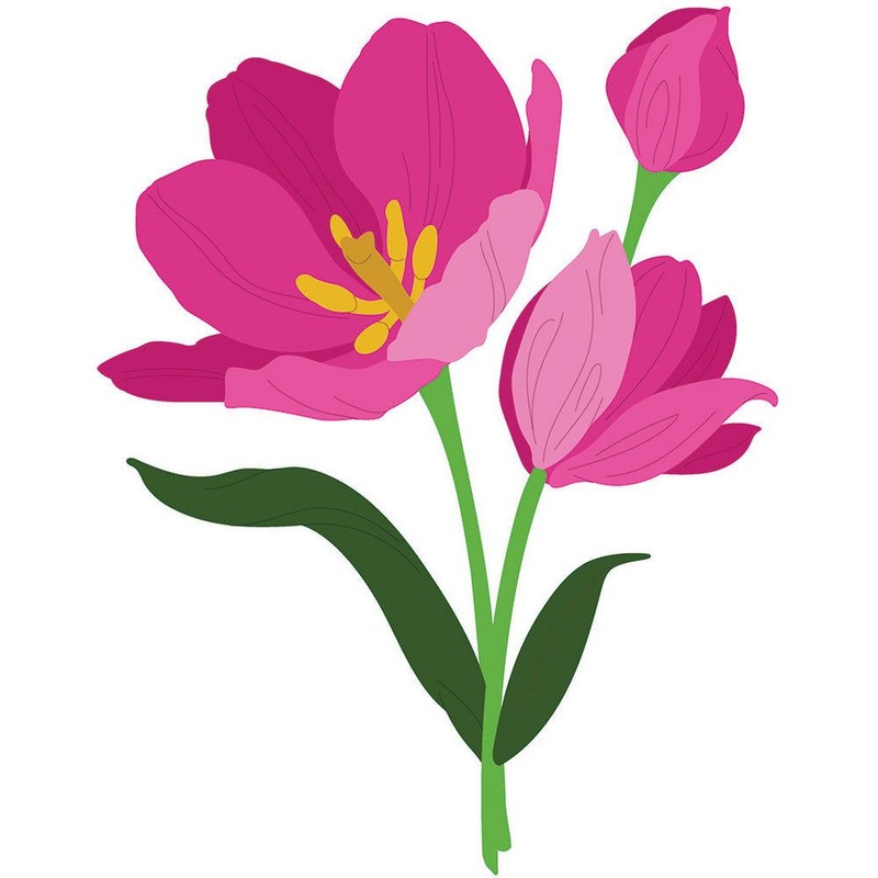 Lovely Layers: Tulips – Honey Cuts