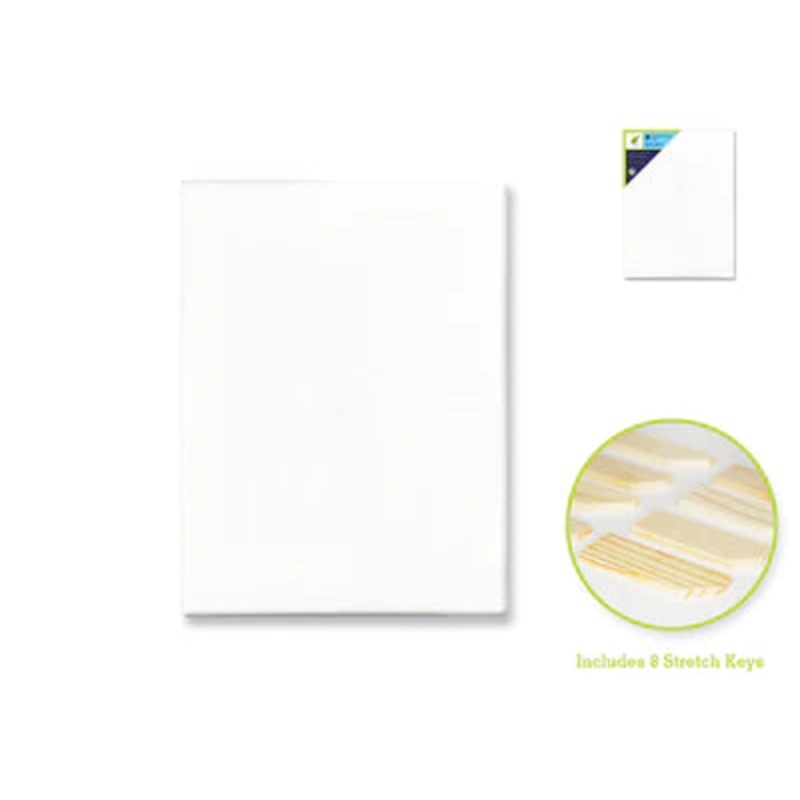 Color Factory Stretch Artist Canvas Rectangular 16” X 20”