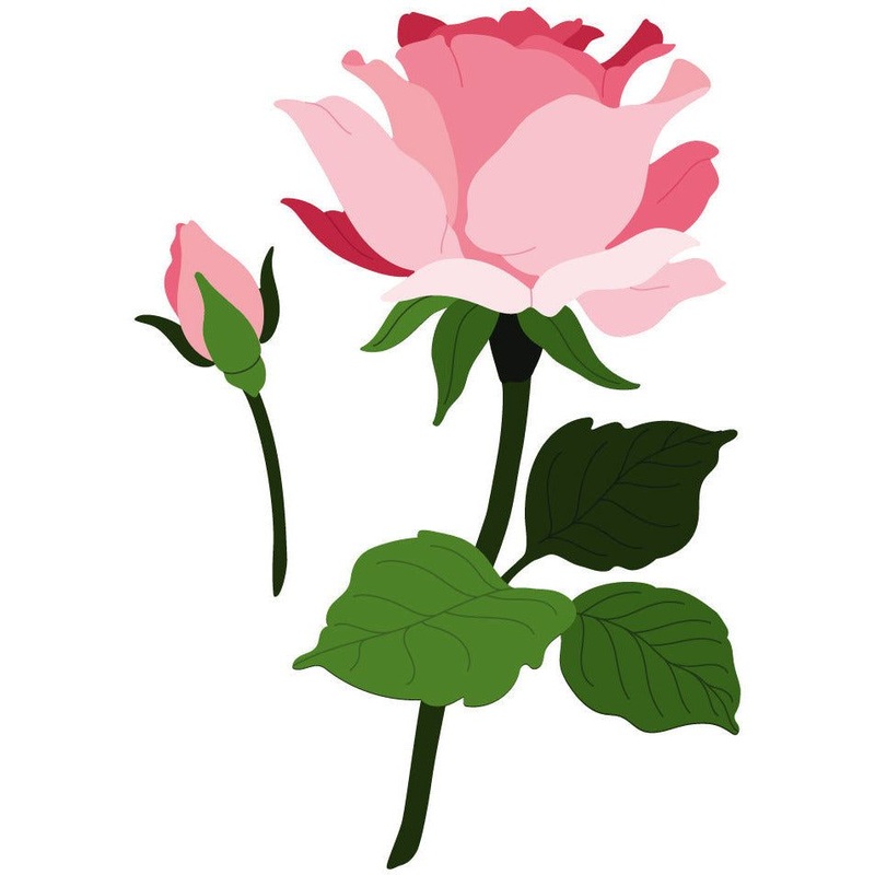 Lovely Layers: Roses – Honey Cuts