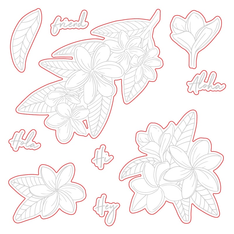 Paradise Plumerias – Honey Cut