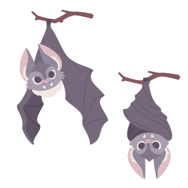 Lovely Layers: Bat – Honey Cuts
