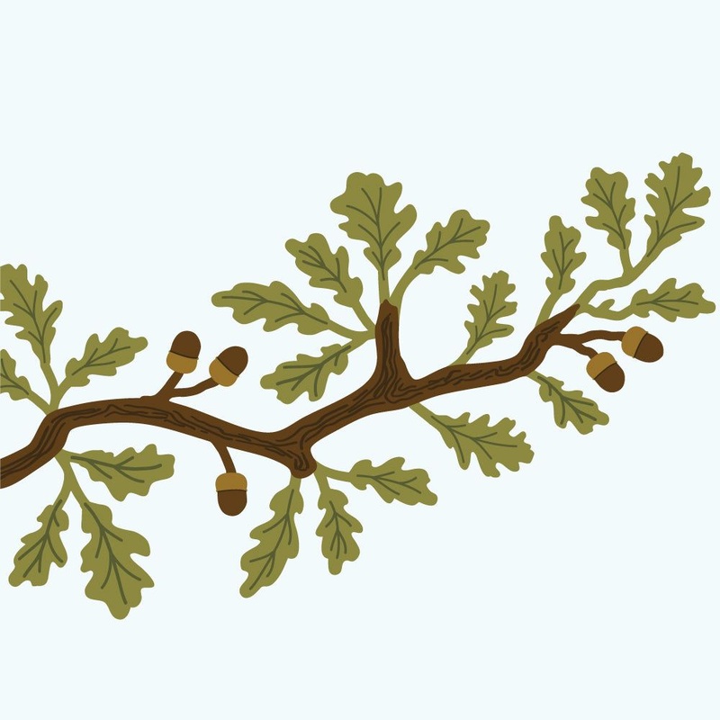 Lovely Layers: Oak Branch – Honey Cuts