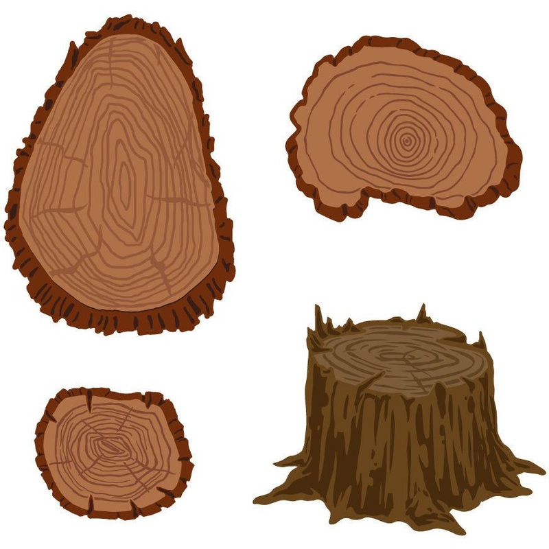 Lovely Layers: Slice & Stump – Honey Cuts