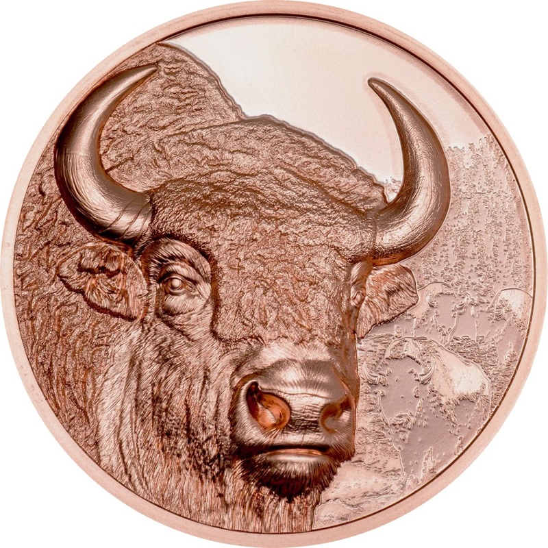 Wild Mongolia 2025 250T Bison Ultra High Relief 50g Copper Proof Coin