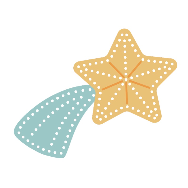 In Stitches: Shooting Star – Honey Cuts