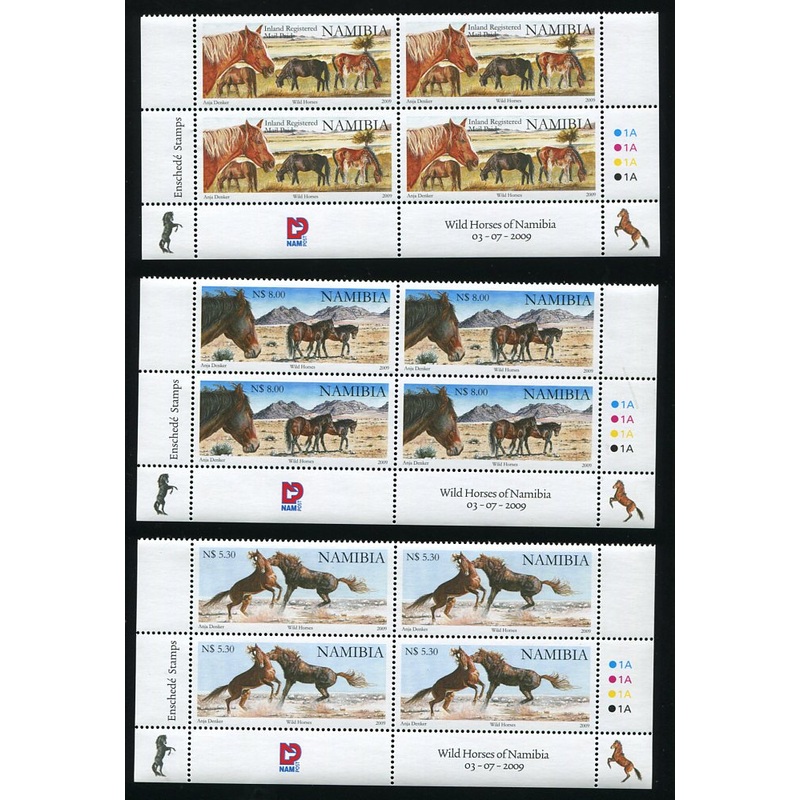 2009 3 July. Wild Horses of Namibia – Control Block