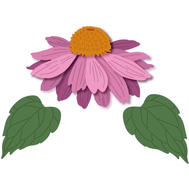 Lovely Layers: Coneflower – Honey Cuts