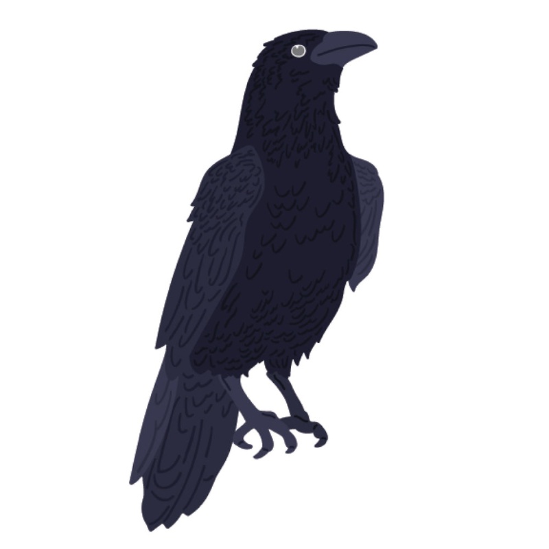 Lovely Layers: Crow – Honey Cuts