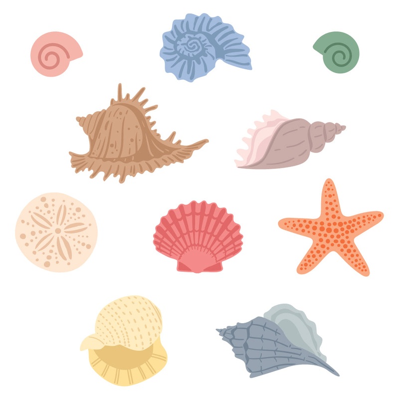 Lovely Layers: Small Seashells – Honey Cut